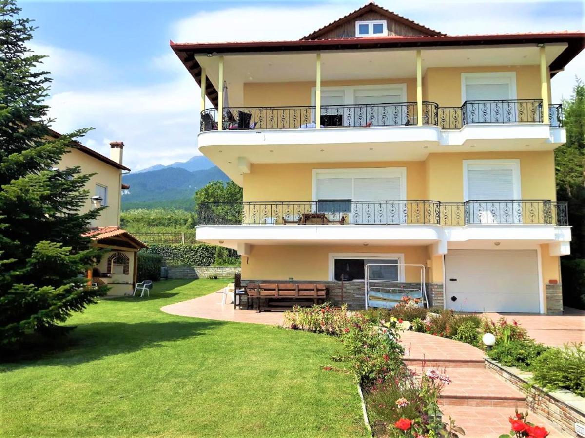 Apartment Achilles Λιτόχωρο Εξωτερικό φωτογραφία